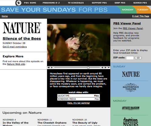 Web Design - PBS: Save Your Nights